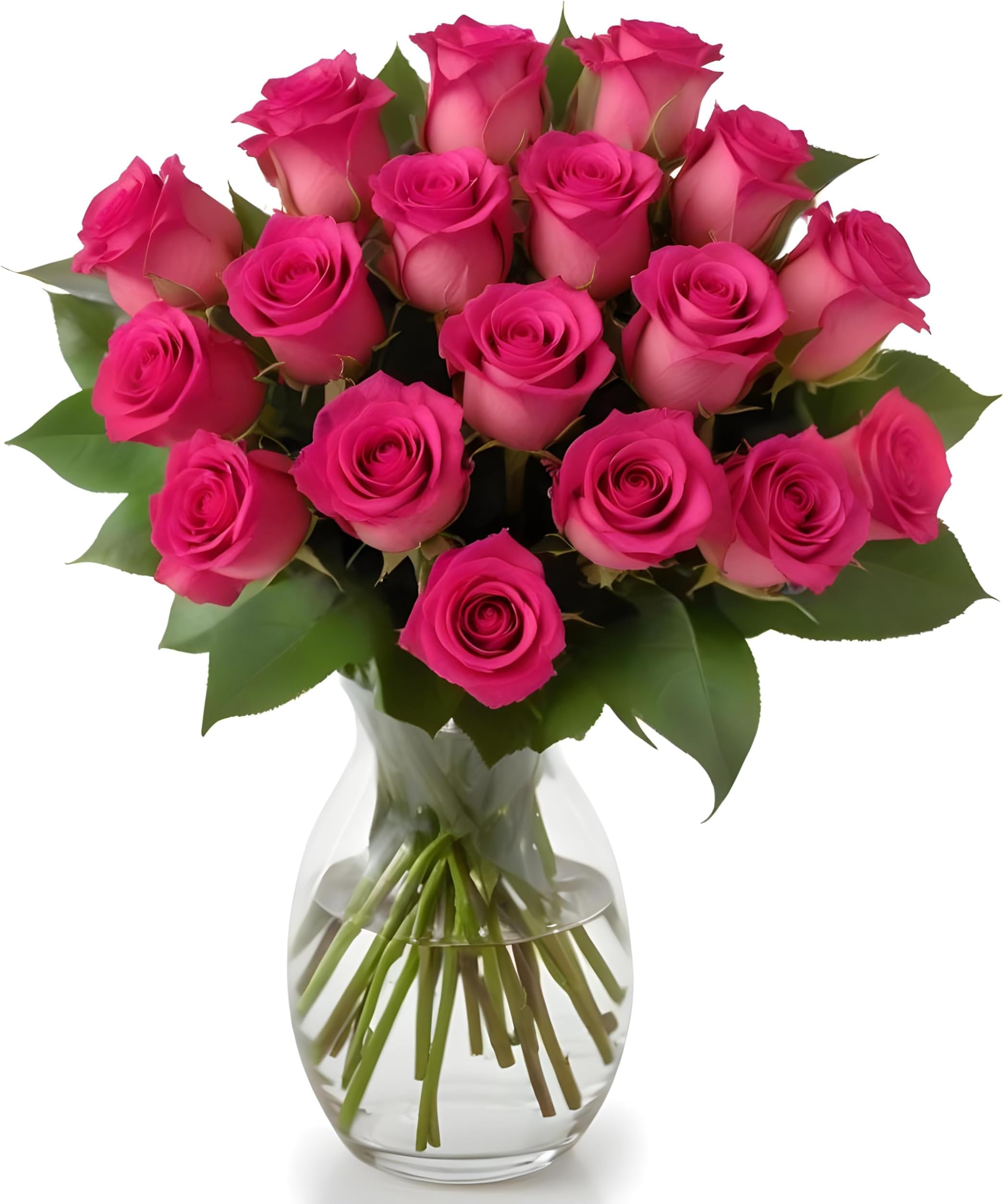 18 Hot Pink Roses | Arabella Bouquets | Real Fresh Flowers for Delivery, Gift for Birthday Women, Congratulations, Anniversary, Thank You, Valentine's Day