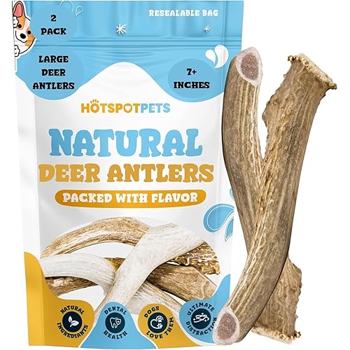 hotspot pets Premium Deer Antlers for Dogs - 7+ Inch Large Antler Dog Chews (2 Pack) Made in USA - Naturally Shed Antler Bone for Large Breed Aggressive Chewers - Promotes Dental Hygiene