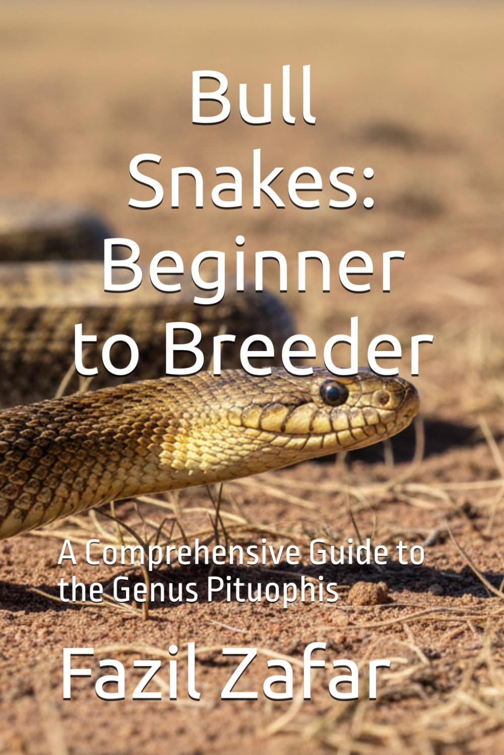 Bull Snakes: Beginner to Breeder: A Comprehensive Guide to the Genus Pituophis