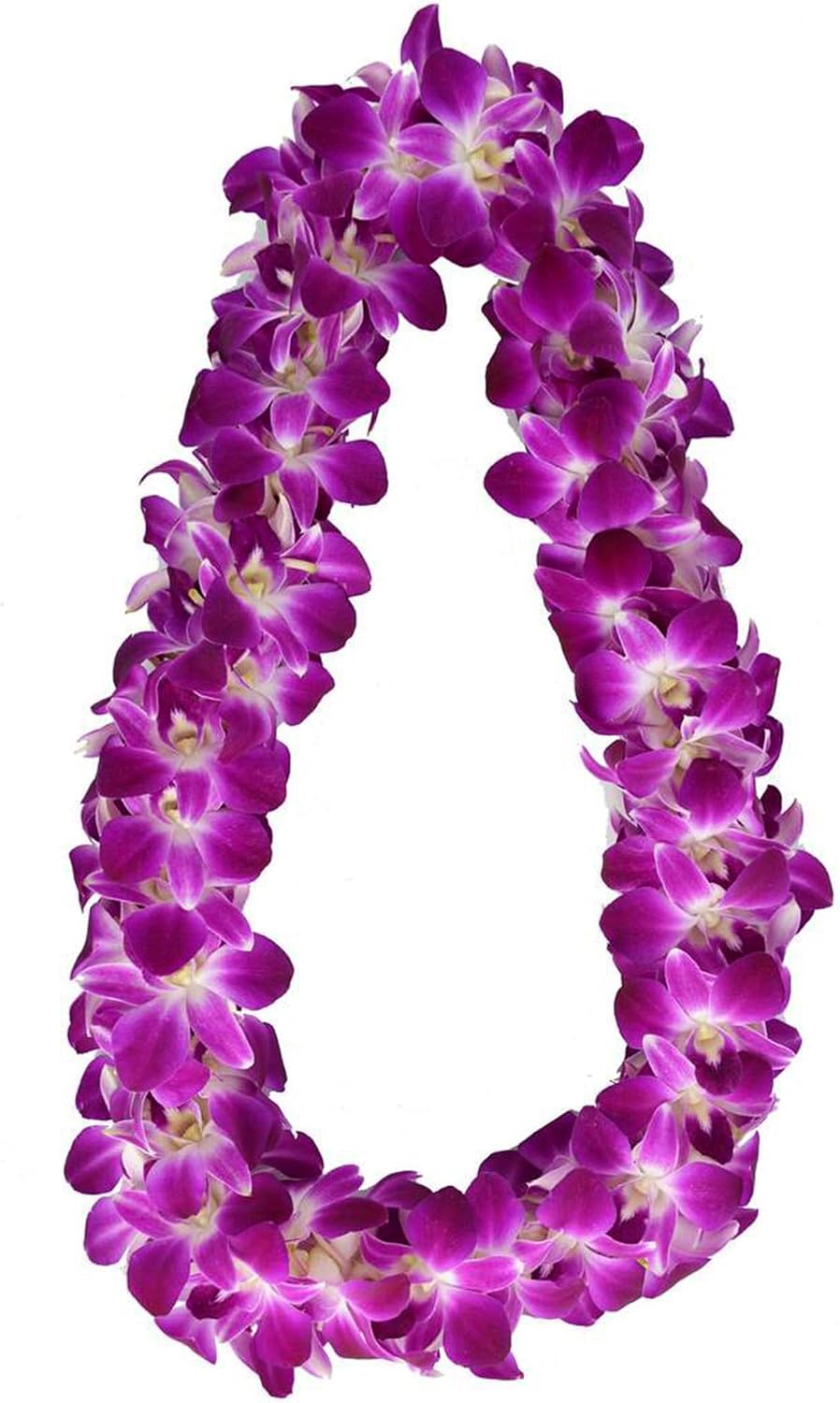 Fresh Perishable Orchid Flower D-LEI OrchidClubUSA Sunne Tropical (Purple Sonia Natural)