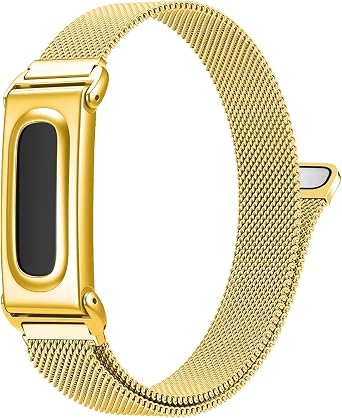 Google Fitbit Air