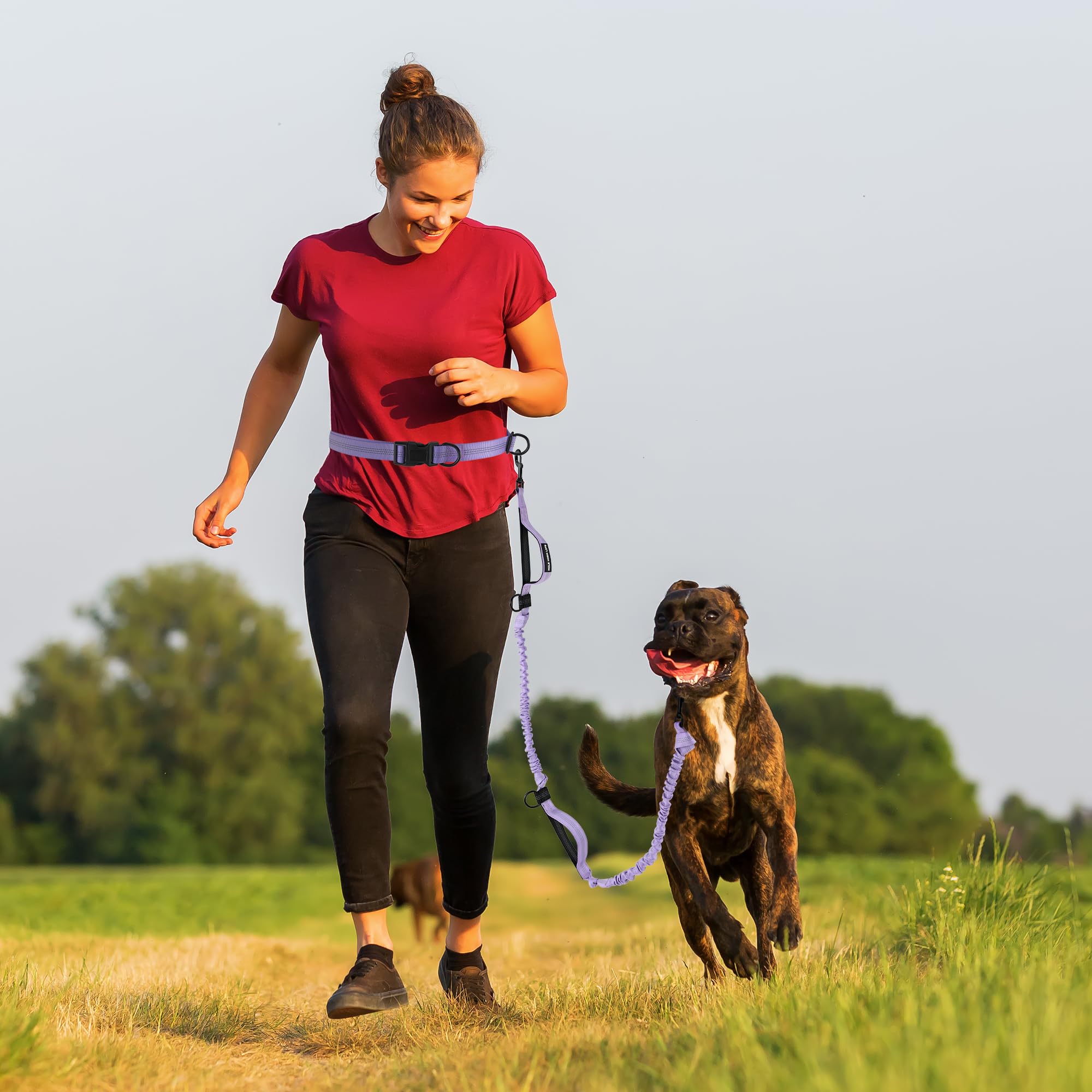 Mile High Life Hands Free Waist Leash for Dog Running Training and Jogging, Adjustable Belt with Double Handle, Reflective Bungee for Medium Large Dogs (Light Purple, 7FT) - image 2
