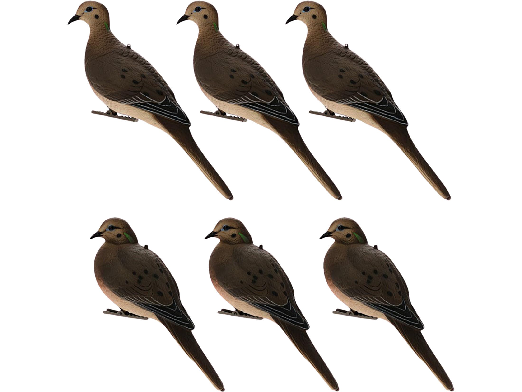 Avian X Full Body Dove Decoys 6 pack