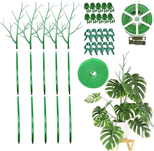 Karida Juego de 5 estacas desmontables de soporte para plantas de 39.37 pulgadas, ramitas enrejadas para plantas de interior y exterior, plantas en