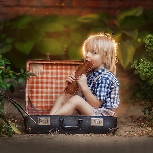 Miniatura 7 de Walking Way Filtro de niebla blanca de 2.638 in, filtro de enfoque suave, filtro de difusión circular, efecto niebla de ensueño, lente de cámara,