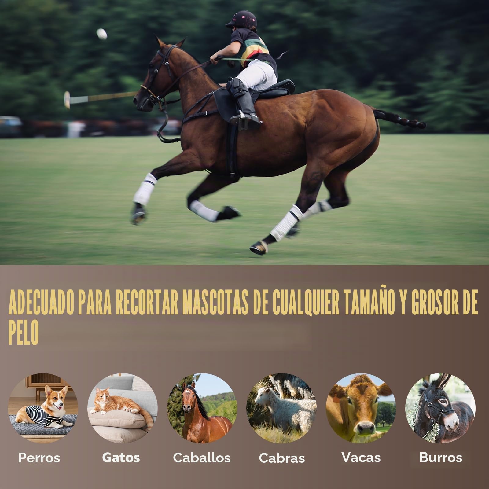 CGOLDENWALL Cortapelos para Caballo, Batería de Li-Ion 1400mAh & Cable de 3.5m para Uso Con/Sin Cable, 3200-4000rpm Ajuste de Velocidad, para Perro, Caballo, Cabra, Vaca y Animal de Pelo Grueso