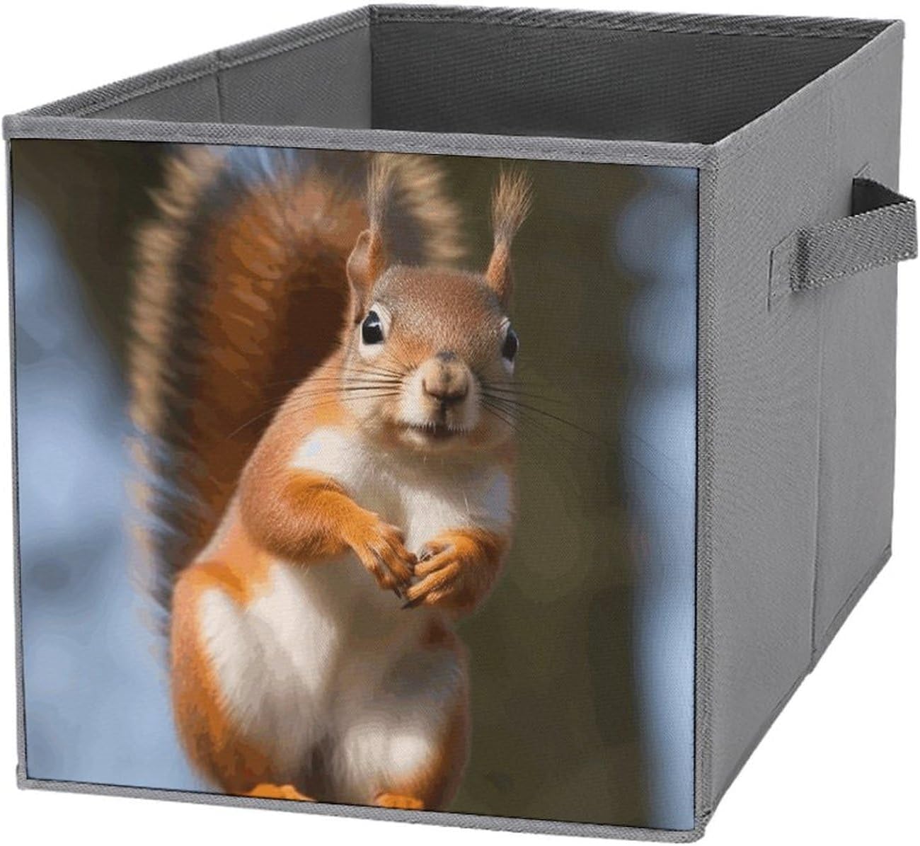 1PCS Foldable Storage Bins Squirrel Funny Animal Printed Storage Boxes Large Capacity Storage Container With Handle Storage Cubes for Playroom Office Home Organization