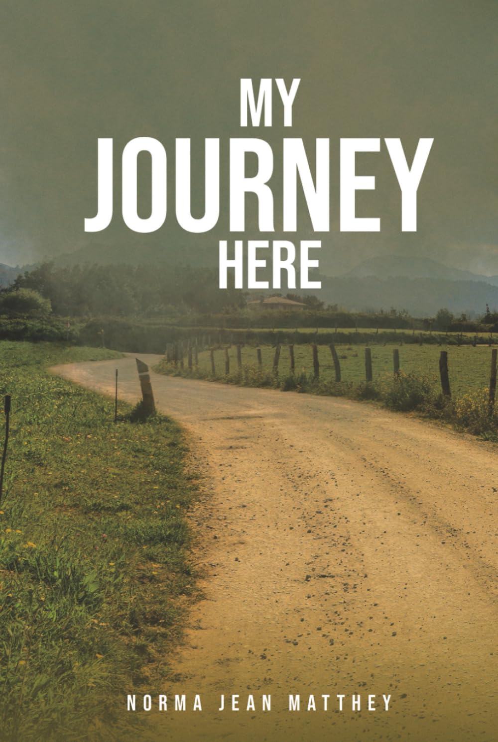 MY JOURNEY HERE