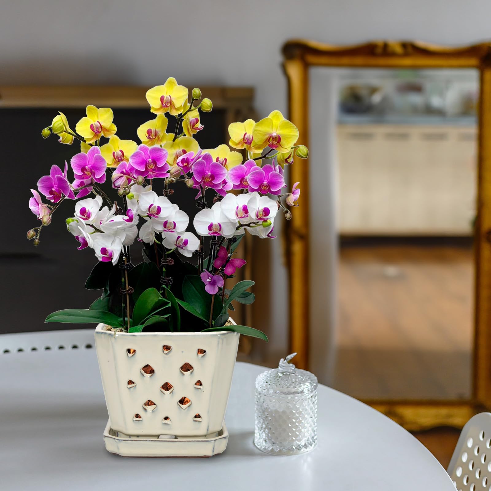W&W Vaso per orchidee con fori e piattino per rinvasare e coltivare meglio, bianco crema, 17,8 cm