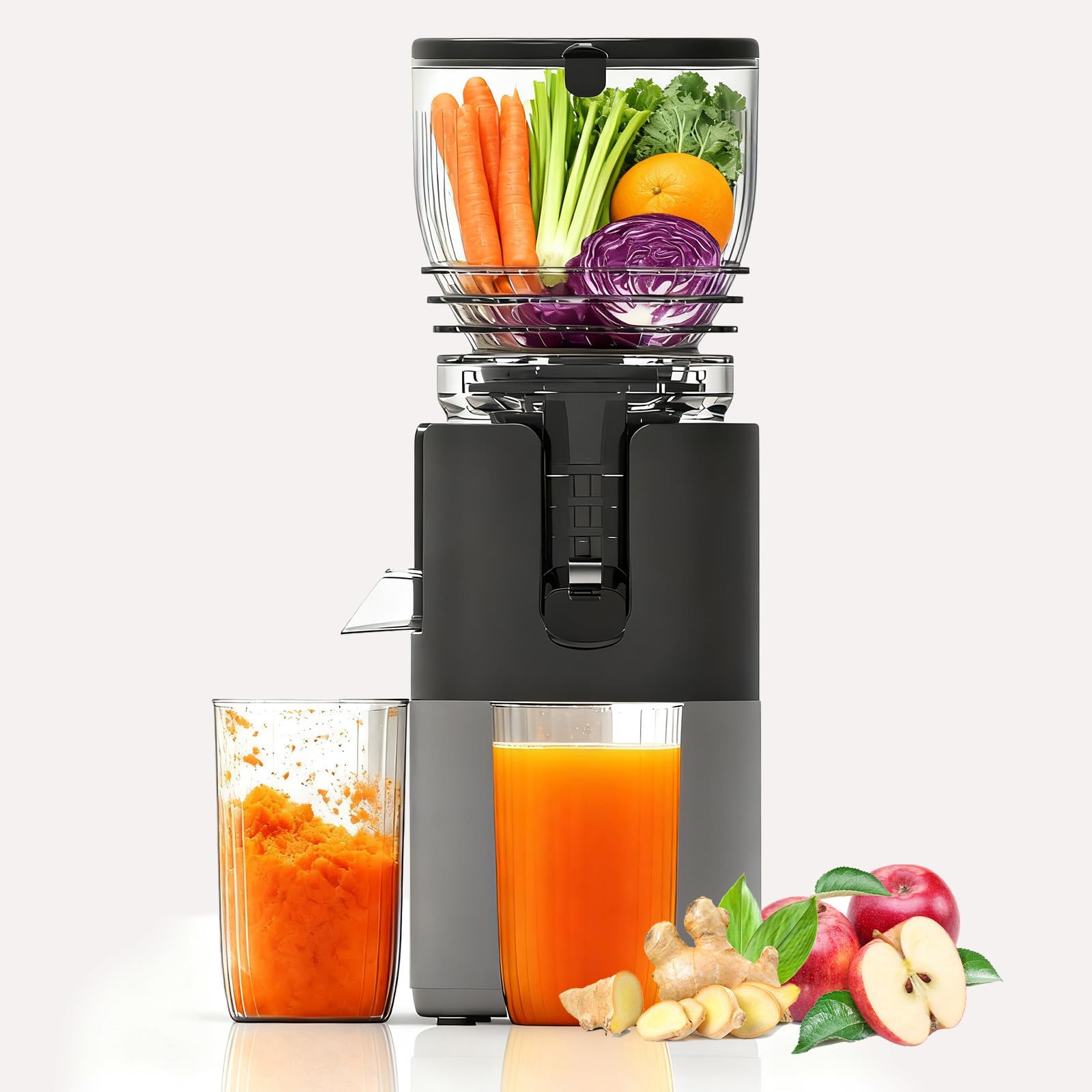 モルペコプロモ Amazon.com: Mokero Cold Press Juicer, 6