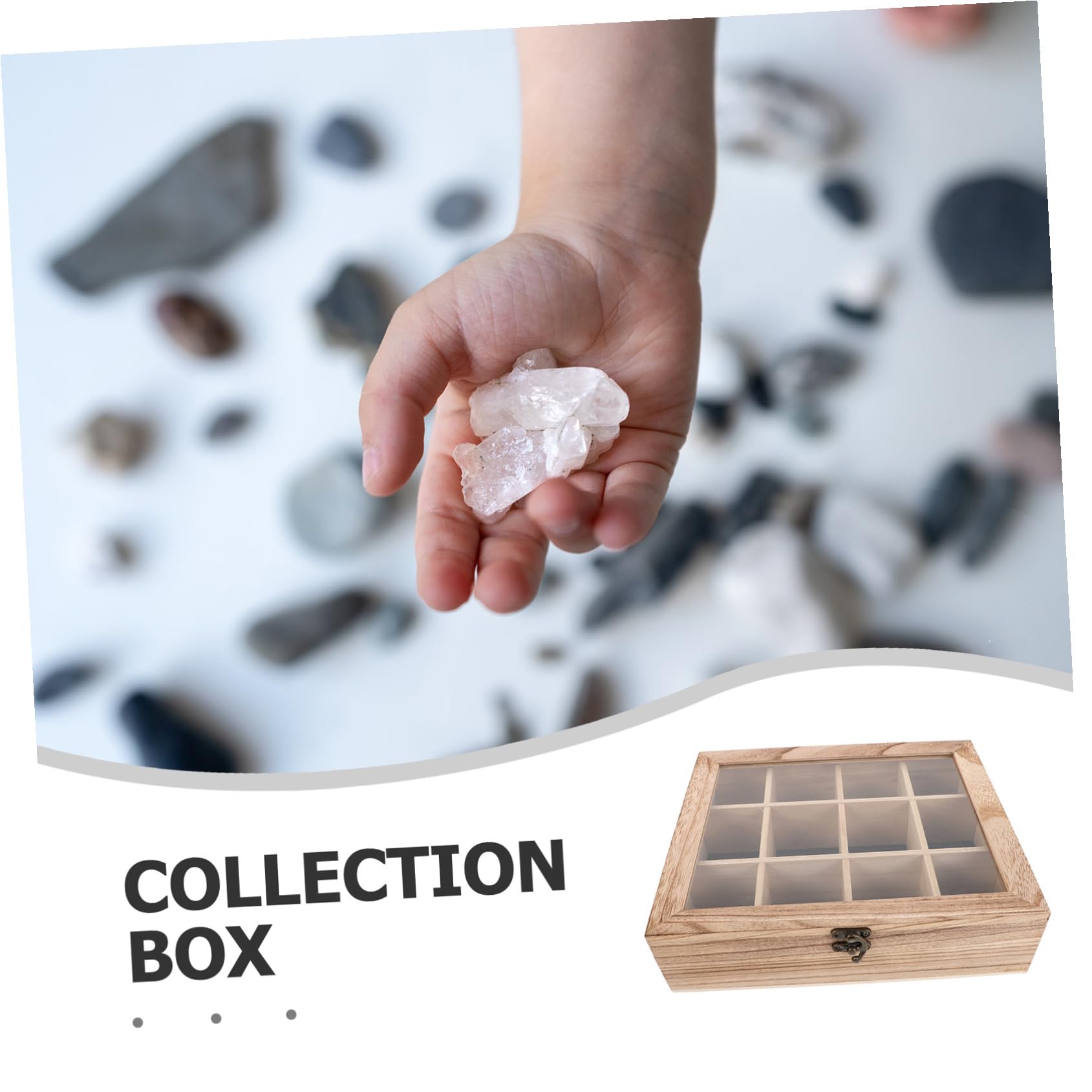 KOMBIUDA Vitrine Mit Durchsichtigem Deckel Für Die Sammlung Von Steinen Halter Für Natursteine Schaukästen Für Mineralienproben Aufbewahrung Von Steinen Aus Holz Vitrine Für