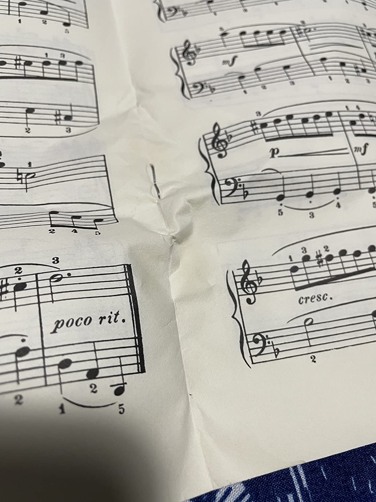 Kit Composizioni Floreali Facili - Set Per Creare Bouquet E Decorazioni Fai Da Te