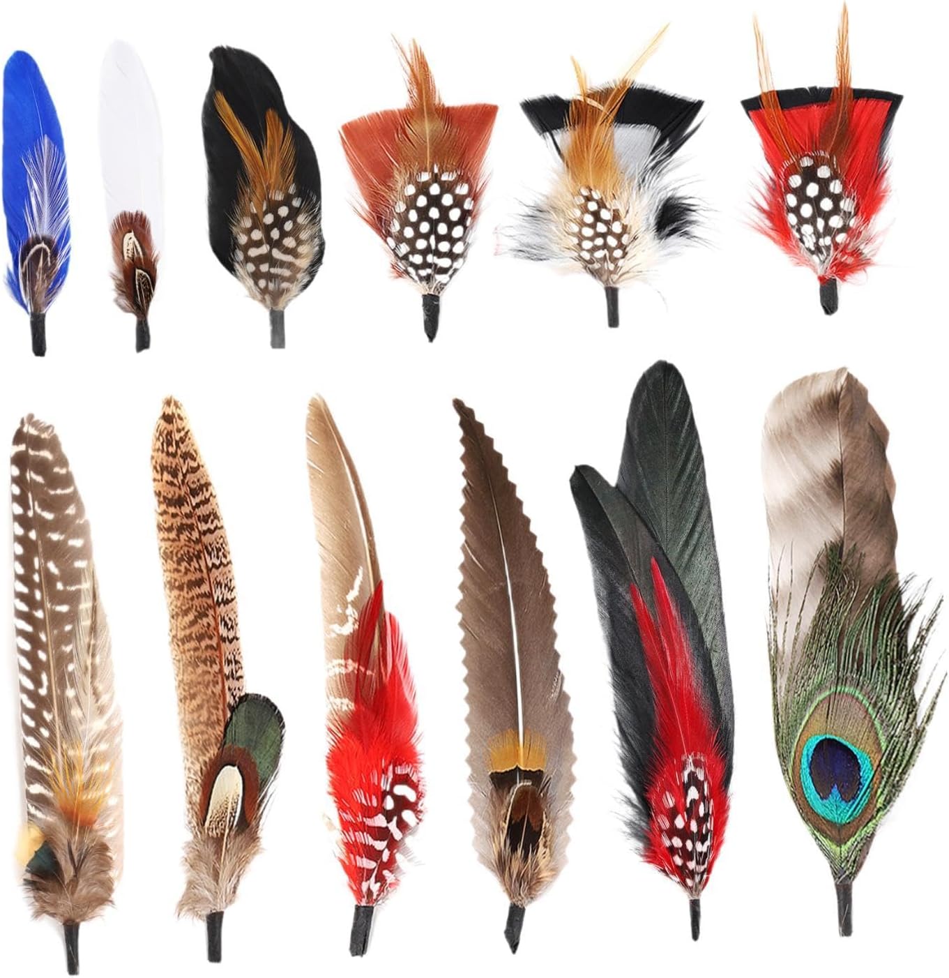 中山 忠彦「羽根飾りの帽子」、厳選、希少画集・額装画、人気作品