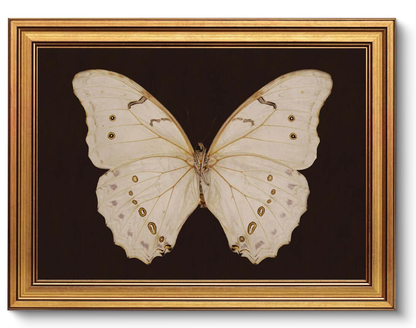 AGOLINE Vintage Gold Framed Wall Art for Living Room(12x16in)-Grace Swan Animal Oil Painting Wall Pictures Shelf Decor for Bedroom Bathroom Kitchen, Vintage Room Decor — image 1