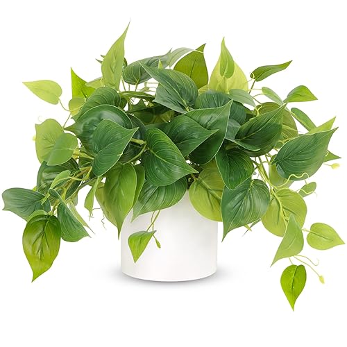 JPSOR Faux Plants Indoor, Pothos Small Fake Plants for Home