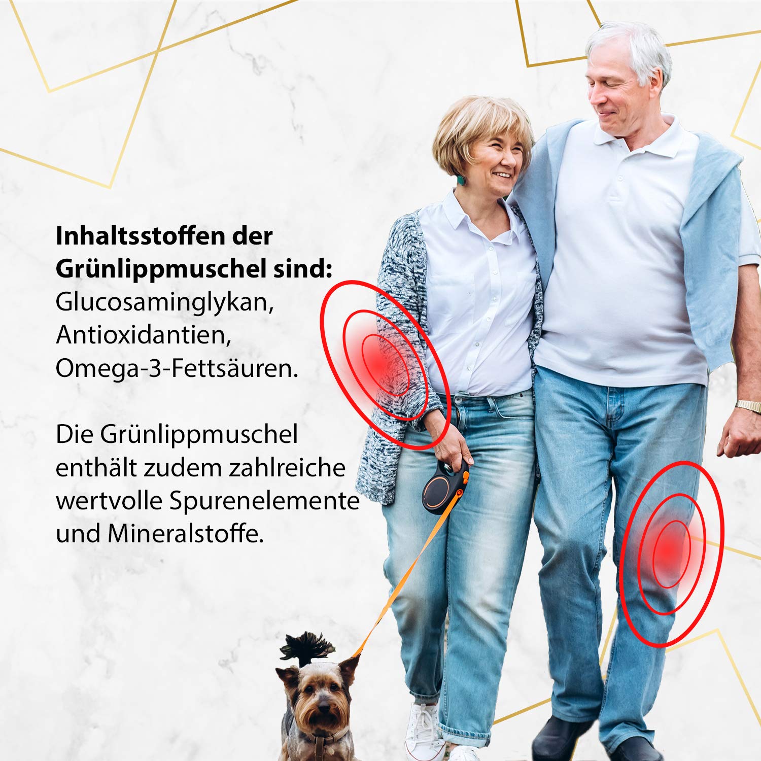 Grünlippmuschel Kapseln hochdosiert: 1500mg Grünlippmuschel Pulver aus Neuseeland pro Tagesdosis - 300 Kapseln I Ohne jegliche Zusatzstoffe + Glycosaminoglykane - Verpackung kann variieren