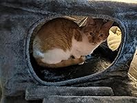 Review Image by Andi Andi