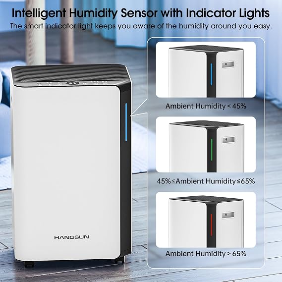 Hangsun 20L/Day Dehumidifiers for Home Dehumidifier for Drying Clothes and Damp with Digital Humidity Display, Continuous Drainage, 24 Hour Timer, Ideal for Laundry Room, Basement, Bedroom, Bathroom