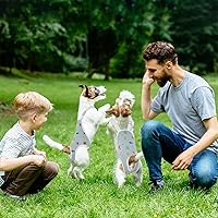 Vista 4 de QBLEEV Pañales para perras para hembra, lavables, sanitarios, con tirantes ajustables, pañales reutilizables para perros machos en celo, lindas