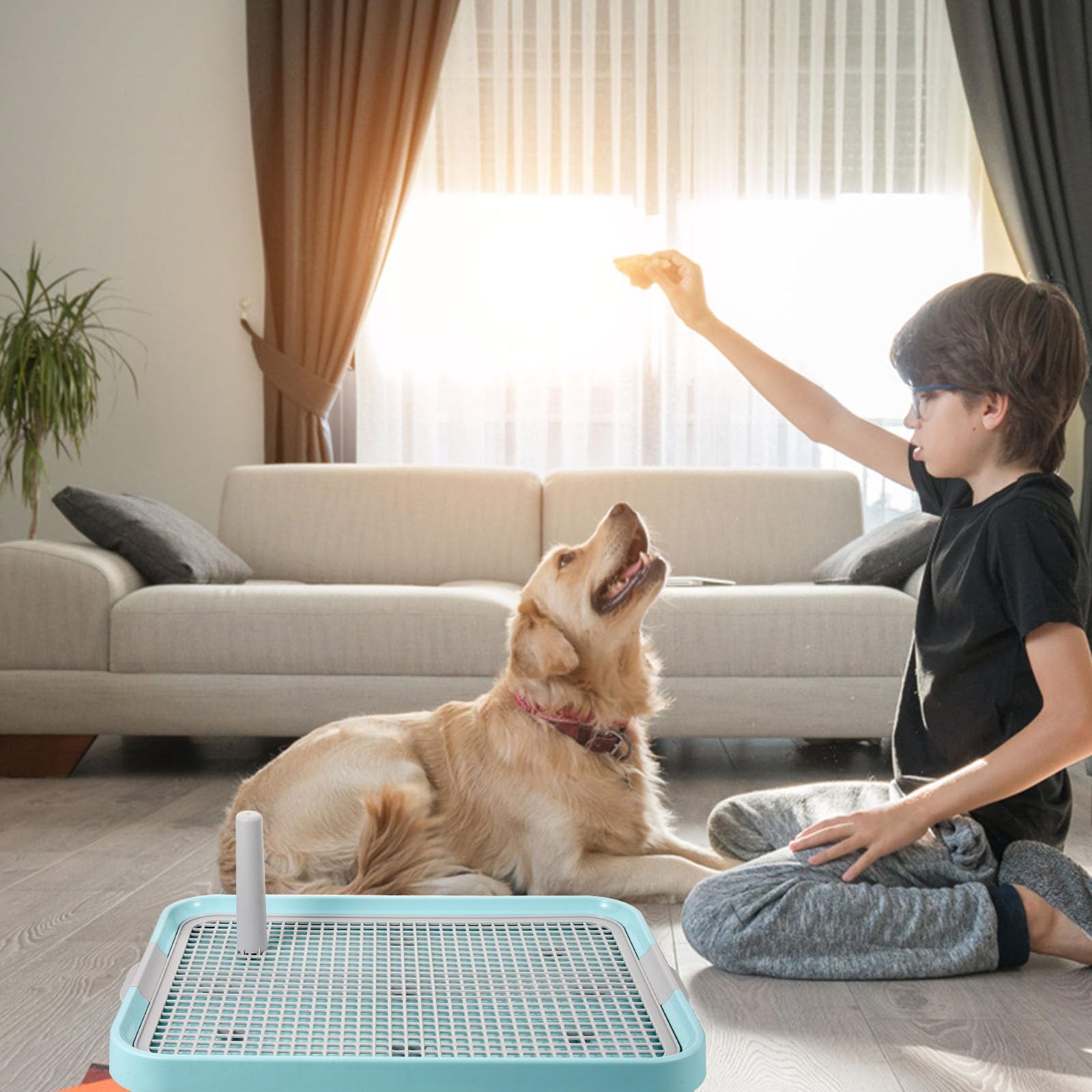 PRETYZOOM Hundetoilette für Drinnen Verdicktes Trainings Tablett mit Netzgewebe Rutschfestes Welpen Urinal Haustier Toilette für Kleine Hunde und Welpen Indoor Welpentoilette