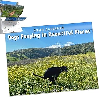 Dogs Pooping in Beautiful Places 2024, Funny 2024 Calendar, Dog Pooping Calendar 2024, January 2024 from December Funny Wall Art Gag Humor Gift Prank Calendar