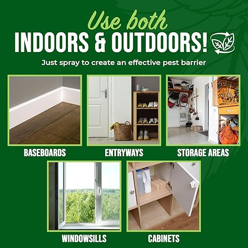 Miniatura 5 de Mighty Mint - Aerosol repelente de insectos y plagas para arañas, hormigas y más, menta, de 16 onzas