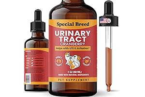Methigel for Cats: Natural Relief for Urinary Tract Health