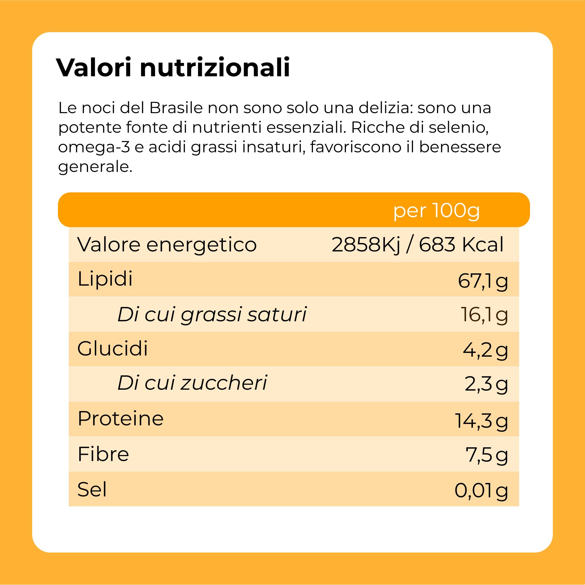 Dorimed Noci Brasiliane Naturali Intere Crude [1Kg]. Sgusciate, Raw Nuts Di Prima Scelta. Frutta Secca Scelta 100% Naturale E Cruda