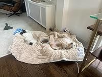 Review Image by Hallie B. Hallie B.