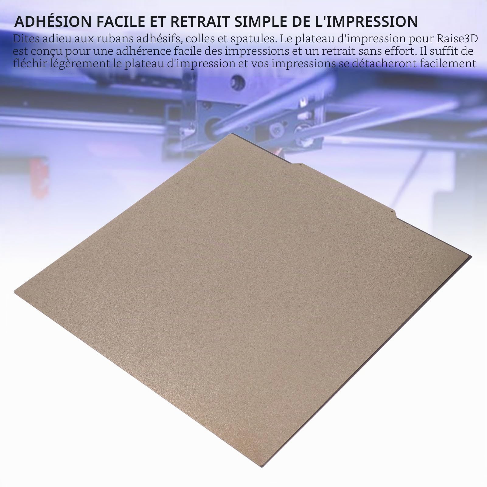 Plaque de Construction PEI en Acier à Ressort avec Texture Mate 332x340mm pour Imprimante 3D Raise3D Pro2 PRO 2 PLUS, Base Magnétique Double Face