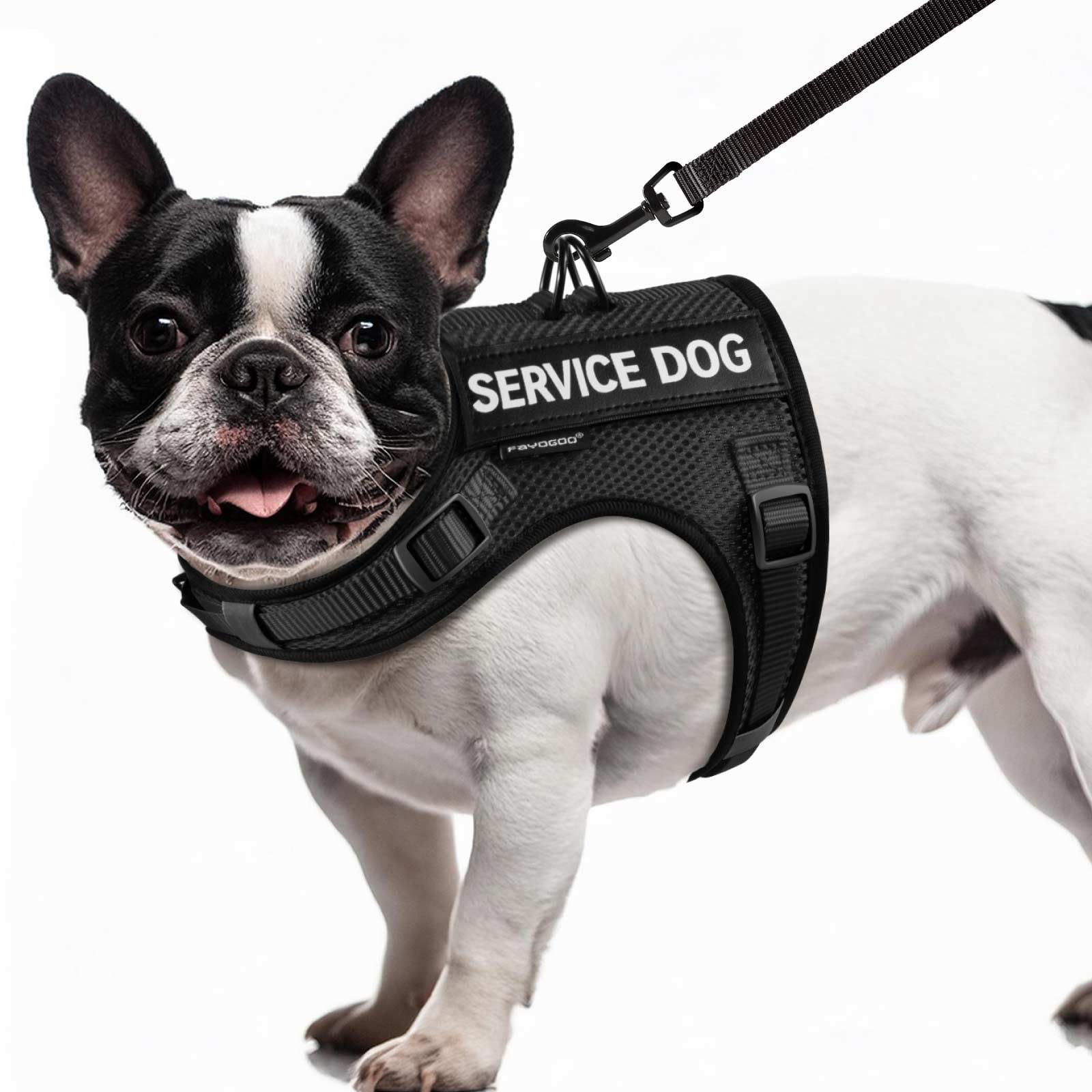 FAYOGOO Service Dog Vest for Small Dogs - Air Mesh Breathble Emotional Support Animal Vest with DIY Removable Patches - Puppy Harness and Leash Set Adjustable Neck and Chest — image 1