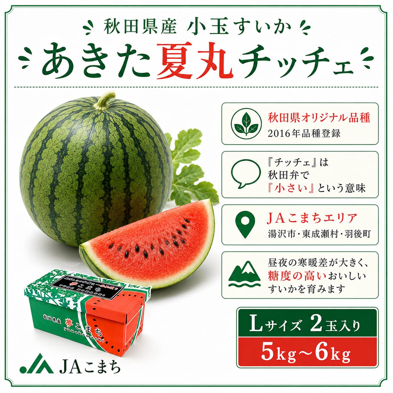 秋田県産小玉スイカ　秋田夏丸チッチェ　訳あり Amazon.co.jp: JAこまち 秋田県産 小玉すいか あきた夏丸チッチェ L×2