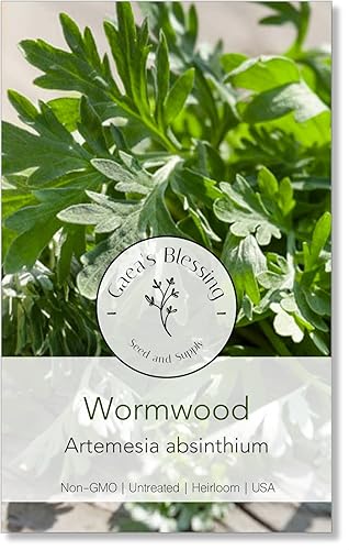 Gaea's Blessing Semillas - Semillas de ajenjo - Artemesia Absinthium - Ajenjo común - Semillas sin OMG con instrucciones de plantación fáciles de