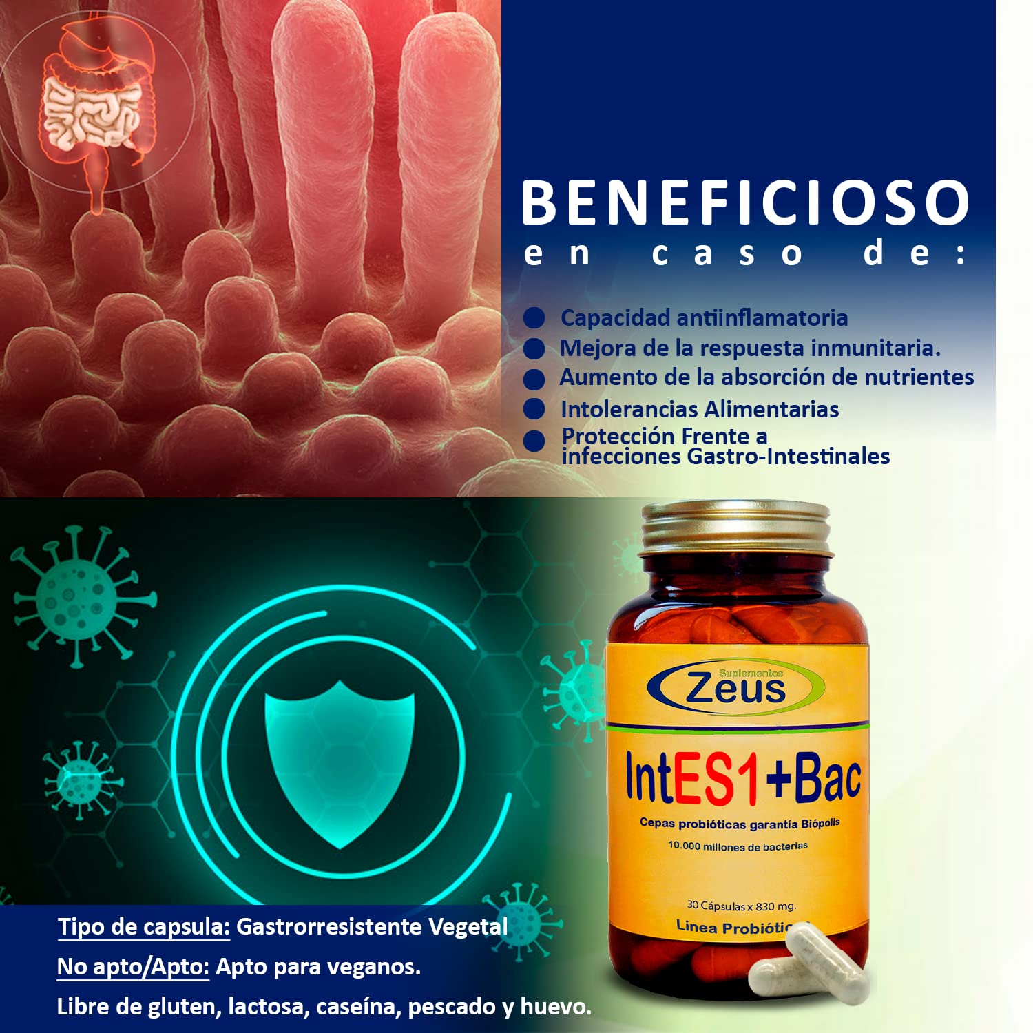 INTES1+BAC | Contribuye a equilibrar y regular la microbiota intestinal | Complemento Alimenticio a base de Fibersol®- 2, Probióticos y Almidón de patata | 100% Vegano | 90 Cápsulas Vegetales