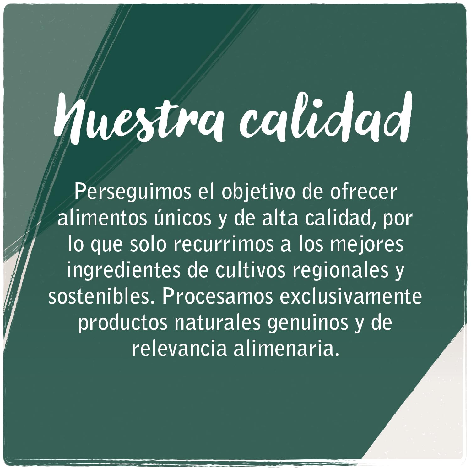 VenandiAnimal Comida de calidad para gatos - salmón, con pescado fresco, comida seca, sin cereales, 1 paquete (1 x 1,5 kg)