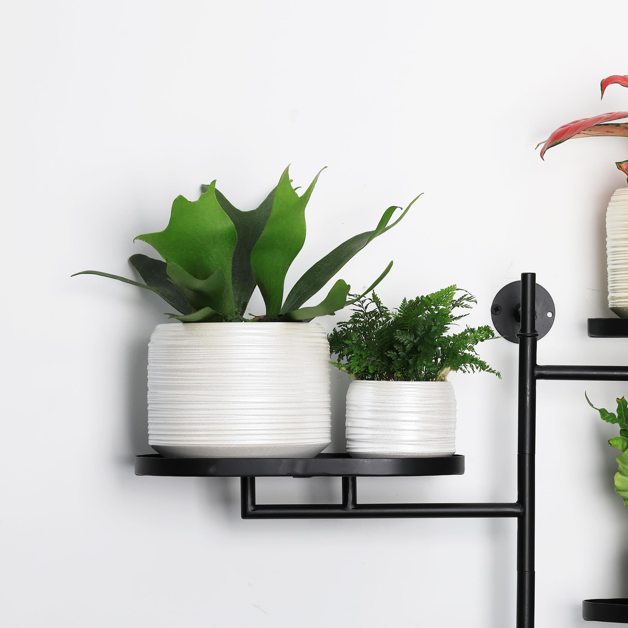 Allen And Roth Indoor Planter Plant Pot Allen + Roth Round 6 In W