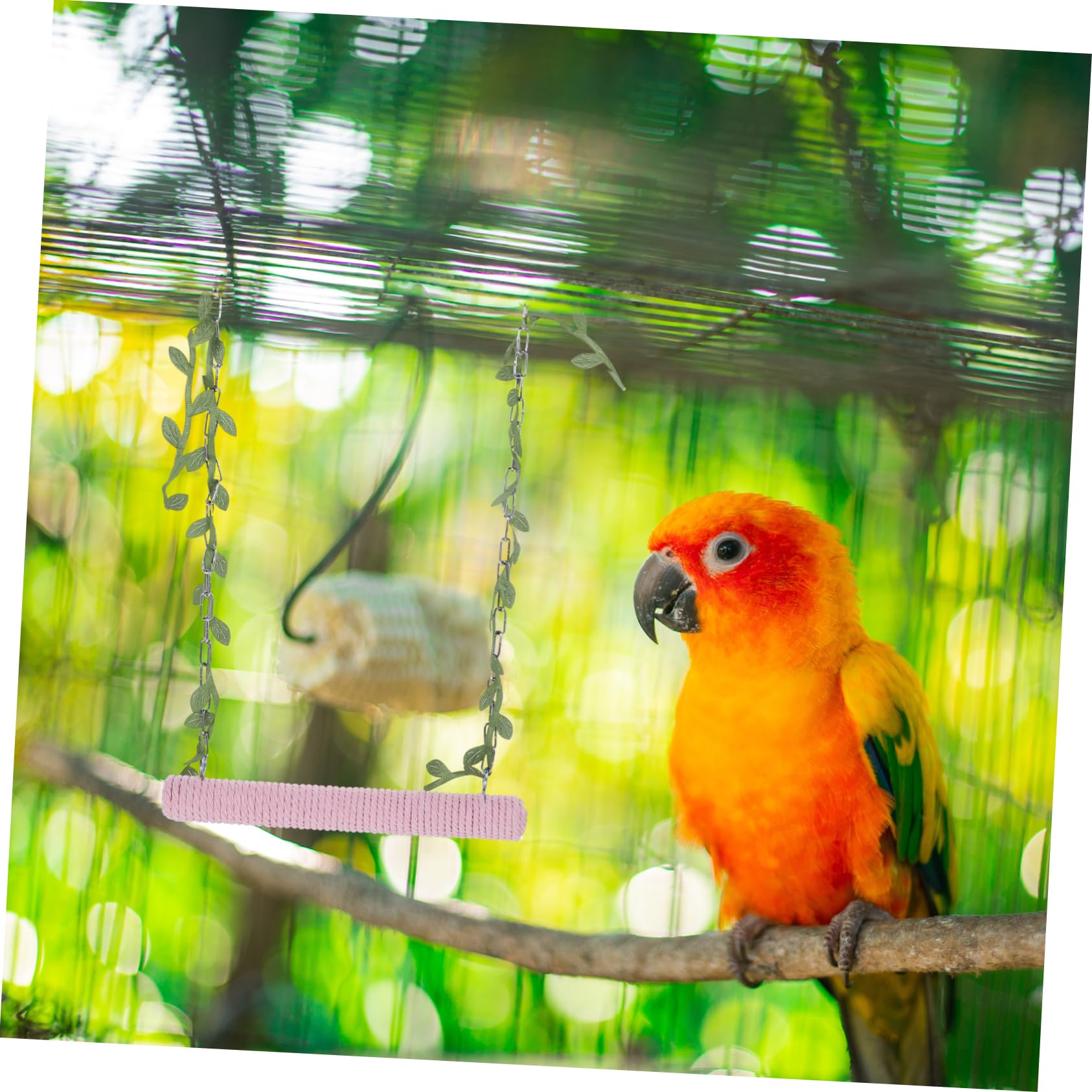 VANZACK 5pièces Balancoire Bois pour Oiseaux Perchoir Suspendu Bois pour Perruches Perroquets Et Cacatoès Jouet Activité Naturel pour Cage à Oiseaux