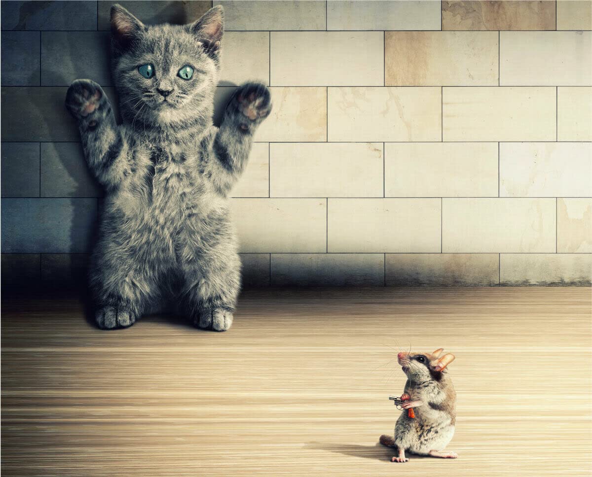 Cute Cat vs Mice Art 3D Wall Sticker Available in 3 Different Effects Window