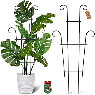 Plant Garden Trellis for Climbing Plants