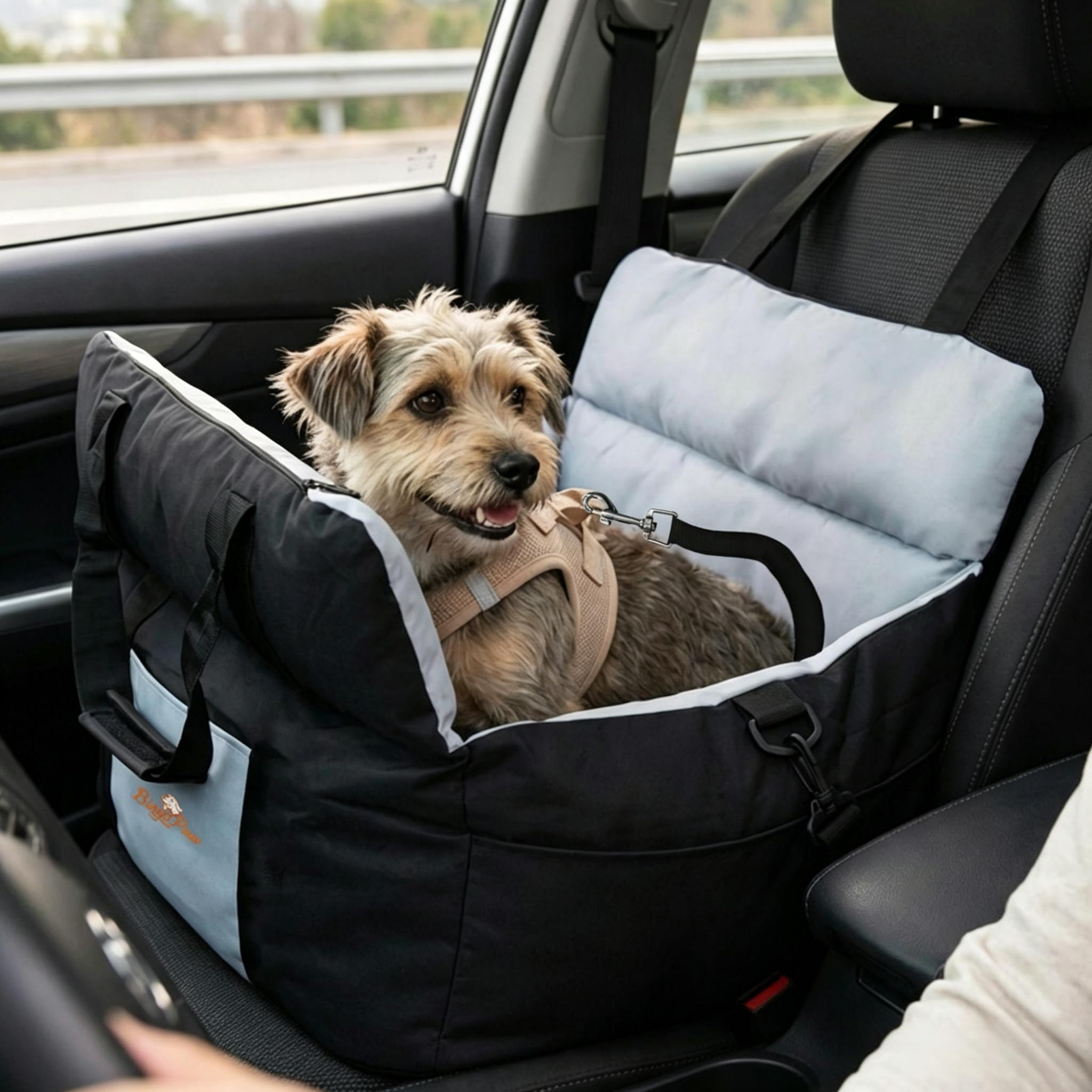 BingoPaw Siege Auto Chien Voiture: Panier Voiture Portable pour Chiens de Petite à Moyenne Taille avec Détachable et Lavable Coussin, Noir