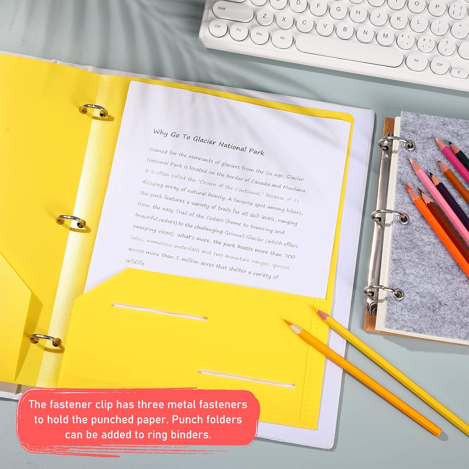Seajan 100 Pcs Plastic Folders with Pockets, Heavy Duty, 2 Pockets, 3 Hole Punch, Letter Size, 5 Bright Colors