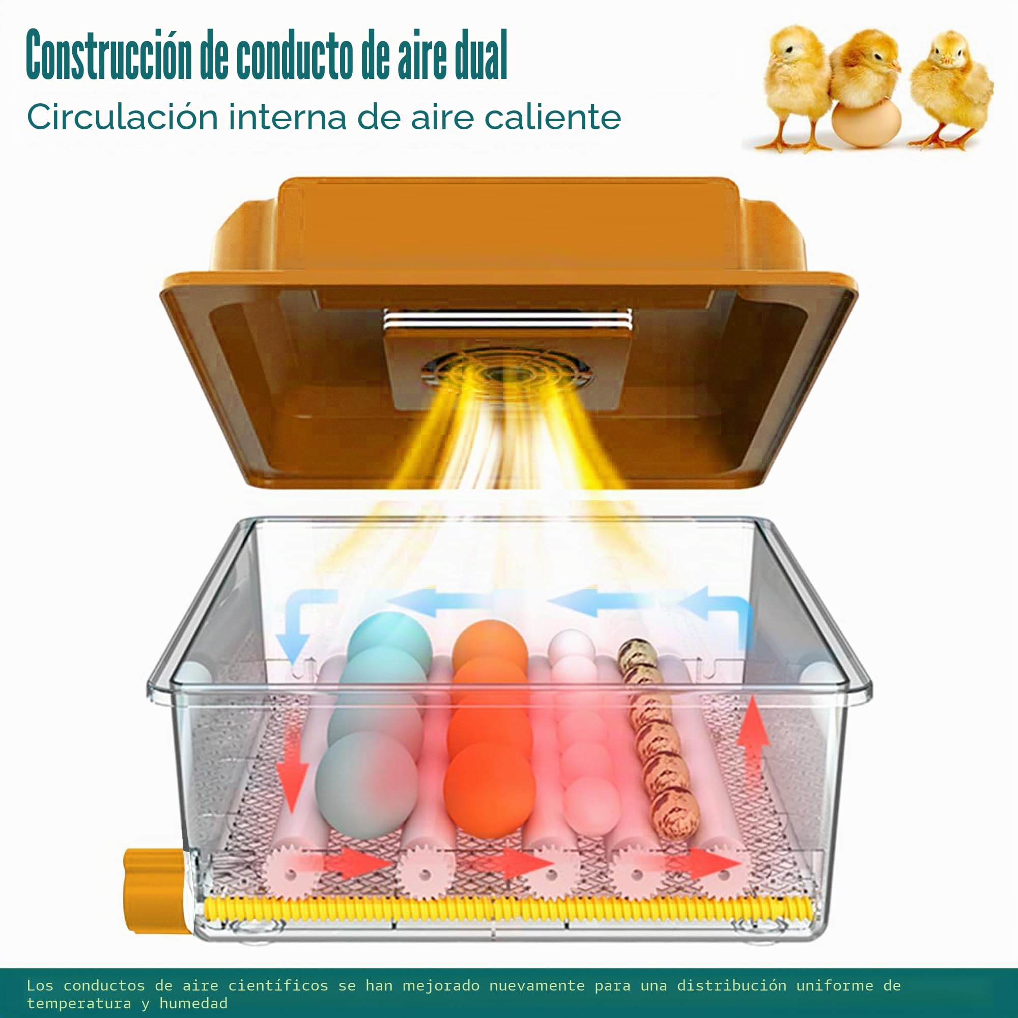 Incubadora de Huevos Automática 12-16 Huevos, Couveuse con Control de Temperatura, Rodillos Ajustables, Llenado de Agua Automático y Ovoscopio Integrado, Naranja