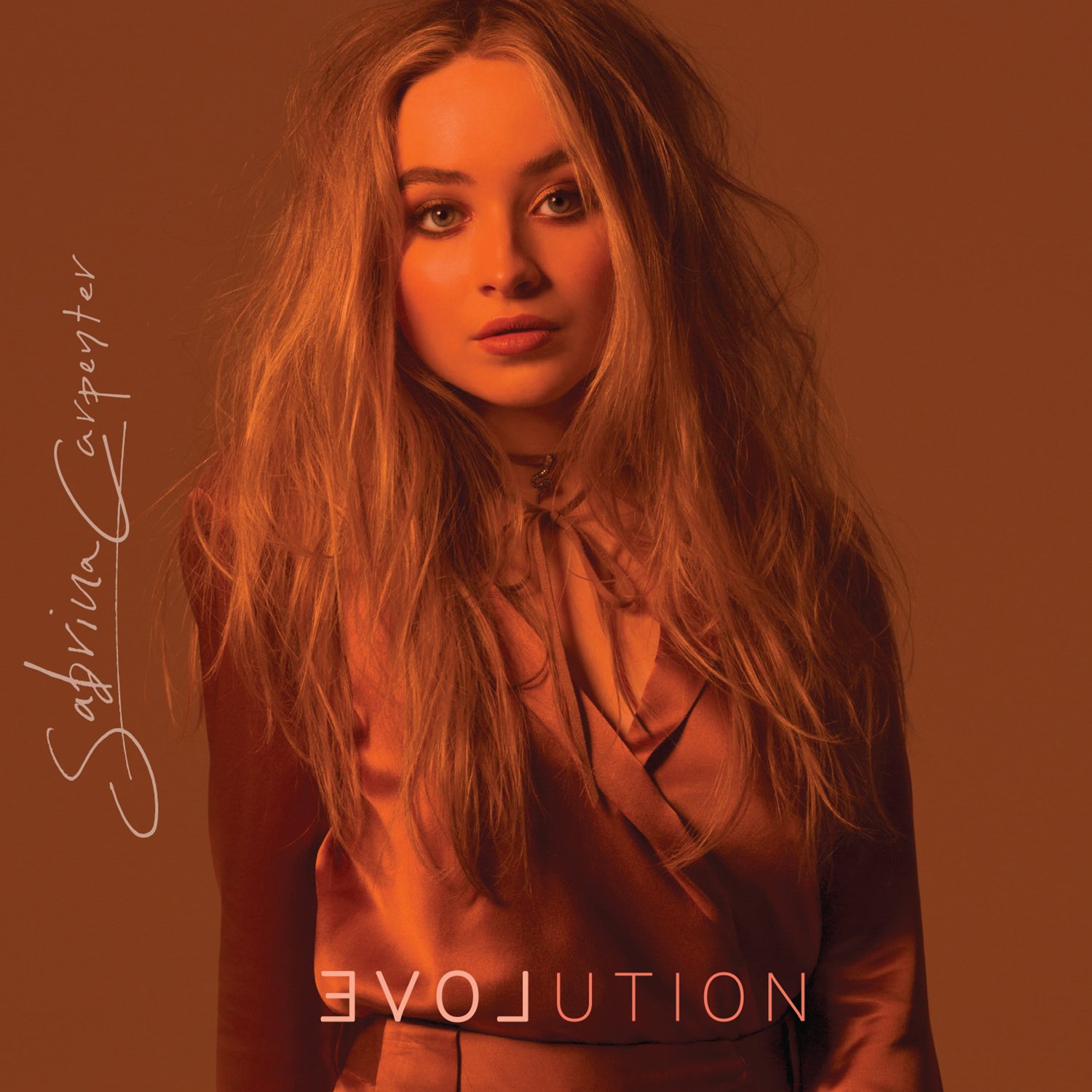 米LP Sabrina Carpenter Evolution D002551201 Hollywood Records 未開封 /00260 71VxXyDYKML._UF1000,1000_QL80_.jpg