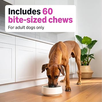 Amazon Basics Dog Hip & Joint Daily Supplement Chews with Glucosamine, MSM, and Vitamin C, Duck Flavored, 60 Count, Packaging May Vary