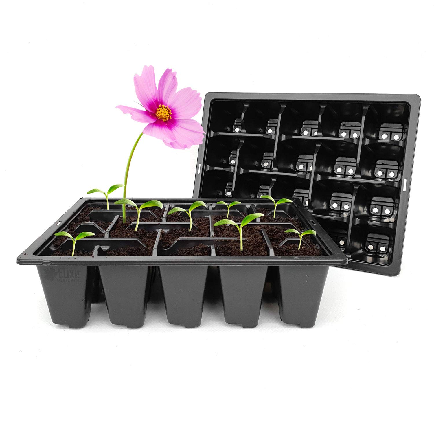 Elixir Gardens Reusable 20 Cell Seedling Germination Bedding Plant Pack Tray Inserts for Half Size Seed Propagator Trays | Various amounts available from 2 to 200 | x10