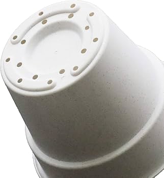 71UF9JjYEzL._AC_UF350,