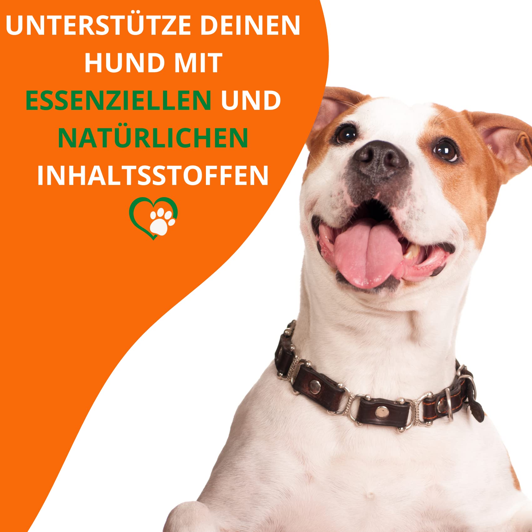 Dorschlebertran Für Hunde & Katzen 1 Liter I Natürlicher Barf Öl Zusatz - Dorschöl Für Hunde Mit Viel Omega 3 (EPA + DHA) & Vitaminen I In Recyclebarer Dose
