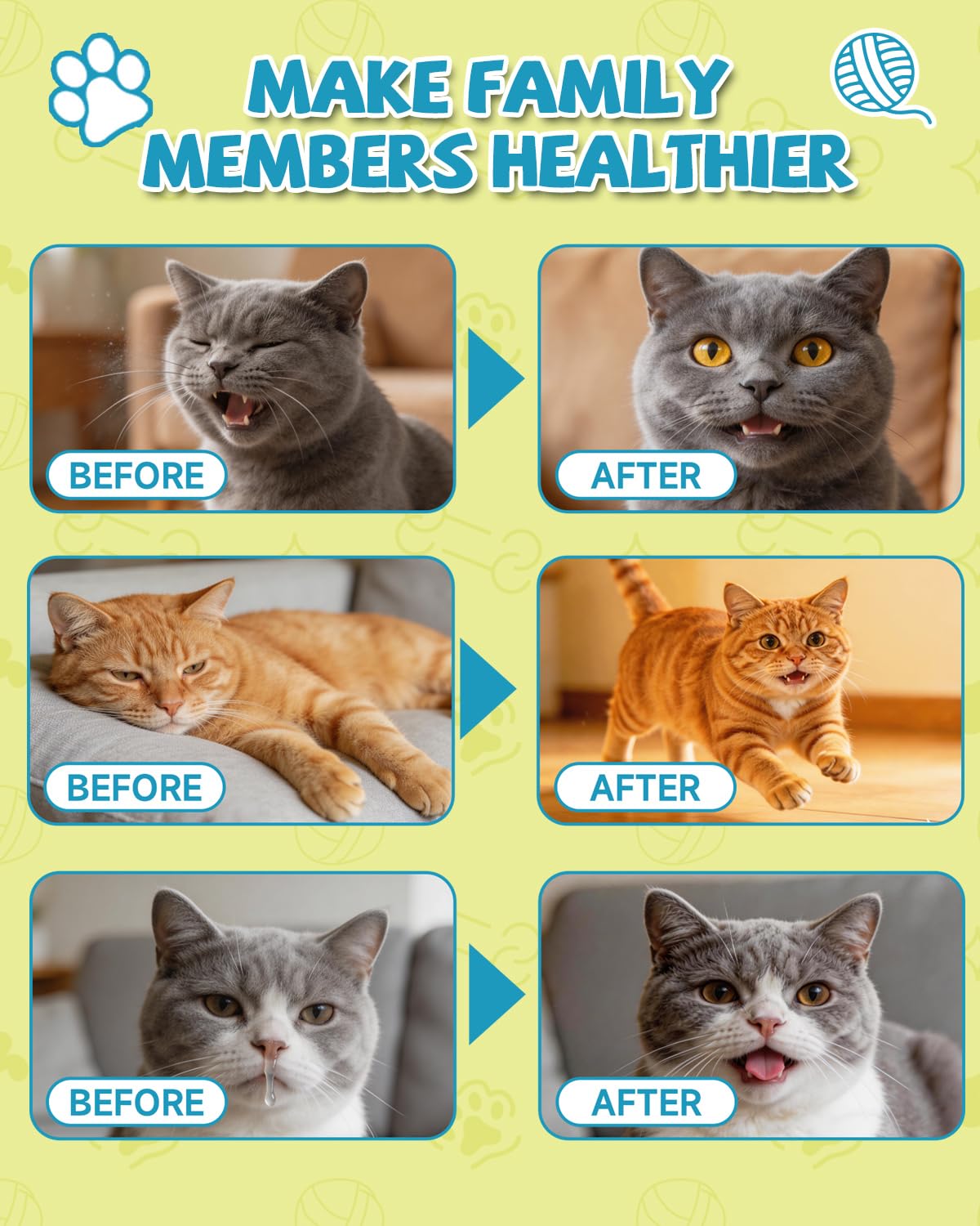 L-Lisina para Gatos - Gotas Lisina para Reforzar Sistema Inmunitario Gatos - Aliviar Alergias en Gatitos, Estornudos, Gripe Felina, Antibióticos para Gatitos con Vitaminas y Minerales, Calostro