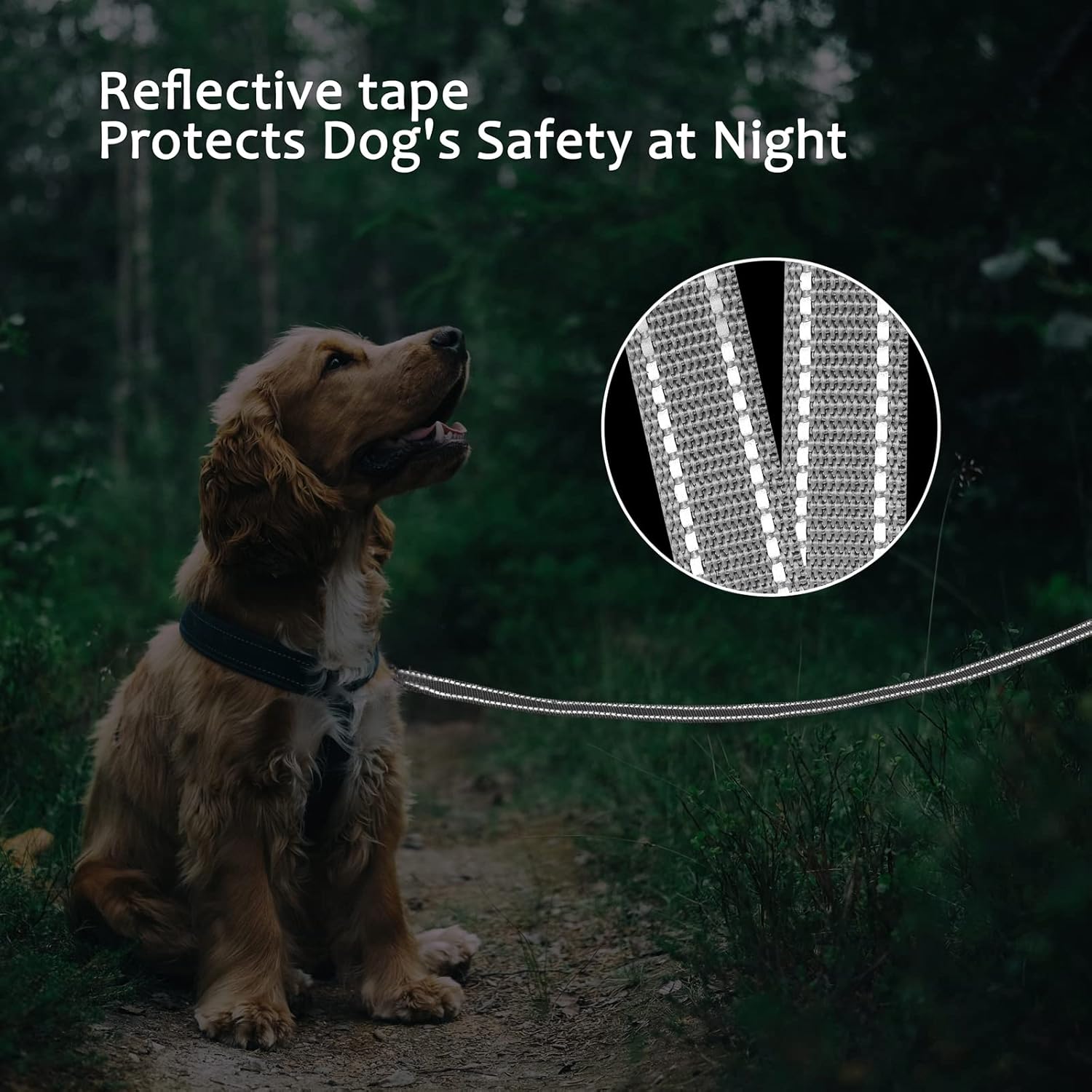 COMSLE Long Leads for Dog Training 3m/5m/10m/15m/20m Strong Extra Long Line Dogs Lead with Handle - Image 5