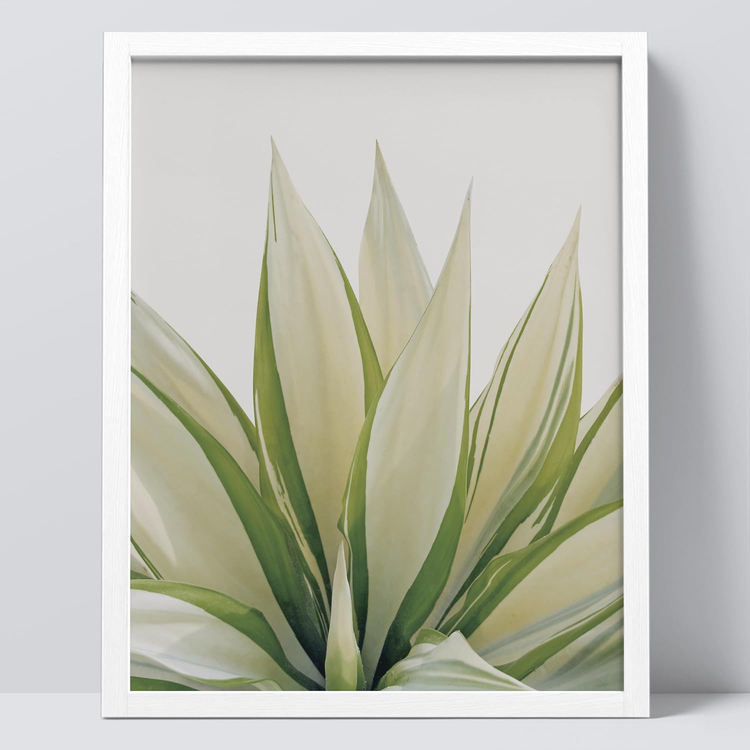 SIGNWIN Framed Tropical Succulent Wall Art, Close Up Green Fan Leaf Desert Wall Decor Prints, Nature Wilderness Wall Décor for Living Room, Bedroom - 11"x14" White